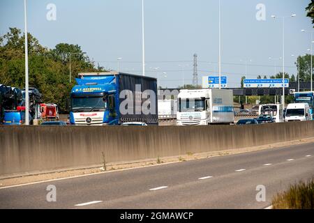 Staines, Regno Unito. 8 Settembre 2021. HGV su M25 a colorazione. Alcune aziende del Regno Unito stanno segnalando problemi di interruzione nelle loro catene di fornitura a causa di una carenza di conducenti di veicoli pesanti a seguito della Brexit e a causa della pandemia del Covid-19 Foto Stock