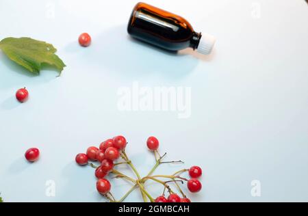 antiossidante, bacche, bacche, ciotola, closeup, freddo, spazio copia, mirtilli, dicembre, delizioso, dieta, influenza, cibo, fresco, gelo, gelateria, congelata, gelateria, Foto Stock