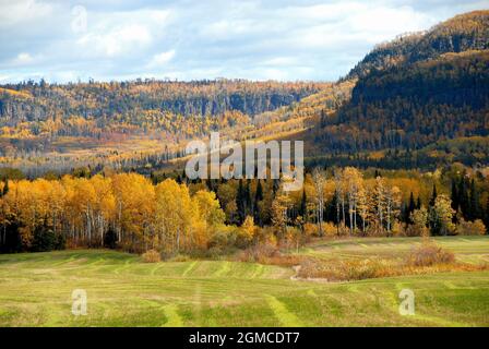 Un campo di fieno raccolto di fronte, con una foresta mista su terreno pianeggiante e sulla catena montuosa nord occidentale sullo sfondo da Thunder Bay, ON. Foto Stock