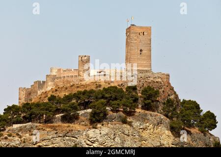 Castello. Biar, Alacant. Comunitat Valenciana. Spagna Foto Stock