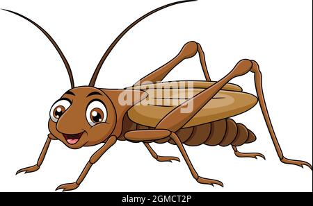 Carino Cricket insetto cartoon illustrazione vettoriale Illustrazione Vettoriale