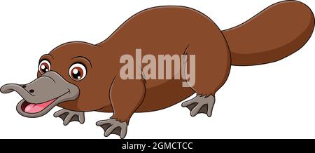 Carino Platypus cartoon illustrazione vettoriale Illustrazione Vettoriale