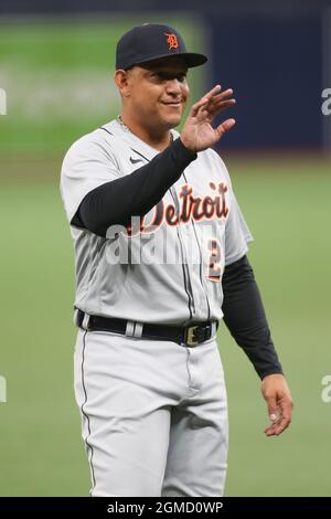 San Pietroburgo, Florida. USA; Detroit Tigers primo baseman Miguel Cabrera (24) ondeggia verso i tifosi ai warmup pre-partita prima di durante una grande lega basebal Foto Stock