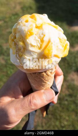 Un cono gelato di pesca e mango tenuto in mano di un uomo Foto Stock