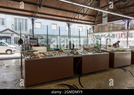 Mercato del pesce fresco coperto di Aveiro, Portogallo. Foto Stock