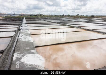 Aveiro salinas, saline con mucche di sale nella città di Aveiro, Portogallo Foto Stock