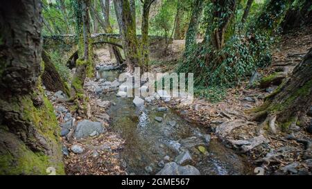 Ponte in pietra medievale, simbolo di Cipro nella foresta di Paphos. Il ponte Elia fu costruito dai veneziani nel XVI cеntury Foto Stock