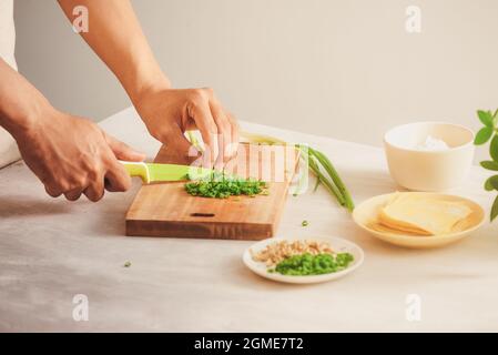 Wonton di incarto e ingredienti grezzi isolati in cucina Foto Stock