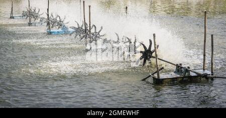 Turbina idraulica a ruota d'acqua macchina che gira in stagno Foto Stock