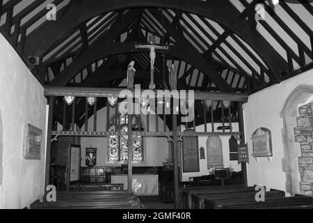 Il cortile della chiesa della chiesa parrocchiale di St Digain a Llangernyw è il sito di un antico albero di tasso che è il più antico albero vivente in Galles Foto Stock