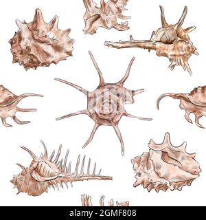 Illustrazione digitale acquerello motivo senza cuciture di conchiglie dalla vita marina marrone su sfondo. Illustrazione di alta qualità Foto Stock