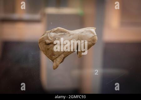 Bisonte su antler renna, Magdaleniano Paleolitico superiore, Museo de la evolución humana, MEH, Burgos, Spagna. Foto Stock