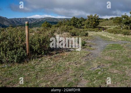 Parco Naturale Sierra Norte de Guadalajara, Cantalojas, Guadalajara, Spagna. Foto Stock