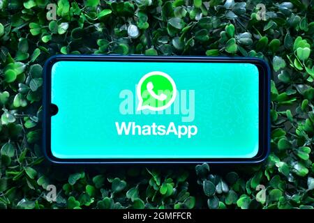 New Delhi, India - 08 settembre 2019: Logo WhatsApp su smartphone, vista dall'alto. Foto Stock