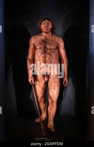 Homo heidelbergensis,Museo de la evolución humana, MEH, Burgos , Spagna. Foto Stock