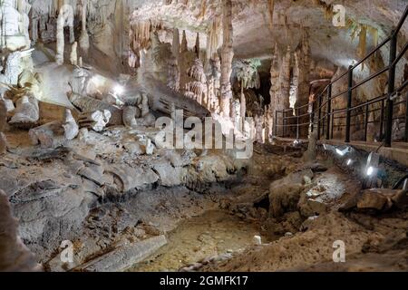 Esplorare la bella grotta di Postojna slovenia la più visitata grotta europea . Foto Stock