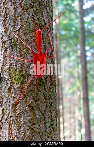 Sentiero di Sluplture temporanea Foresta di Dean Gloucestershire. Foto Stock