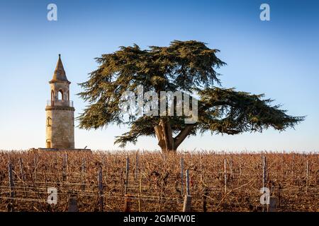 la torre del castello tour de by è un vecchio faro costruito nel 1825 nel mezzo dei vigneti. Foto Stock