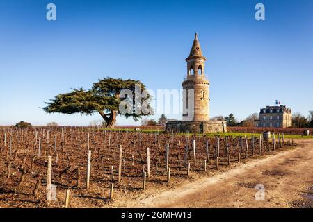 la torre del castello tour de by è un vecchio faro costruito nel 1825 nel mezzo dei vigneti. Foto Stock