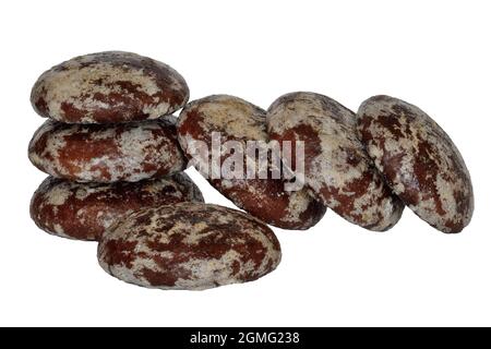 Delizioso pan di zenzero di cioccolato isolato su uno sfondo bianco primo piano Foto Stock