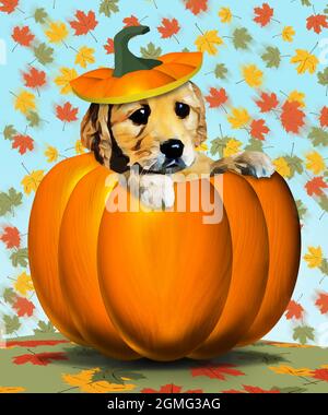 Un cucciolo d'oro che recupera la testa di una zucca autunnale con la parte superiore della zucca e il gambo sulla testa come un cappello. Questo è un 3-d illustratio Foto Stock