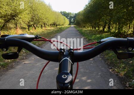 Il volante di una bicicletta che corre su una strada asfaltata lasciando in prospettiva sullo sfondo di un frutteto. Fotografato solo il manubrio, no Foto Stock