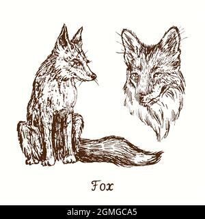 Fox collezione seduta e museruola. Disegno in bianco e nero in legno. Foto Stock