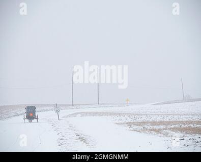 Buggy Amish che viaggia attraverso la strada coperta di neve, Pennsylvania Foto Stock