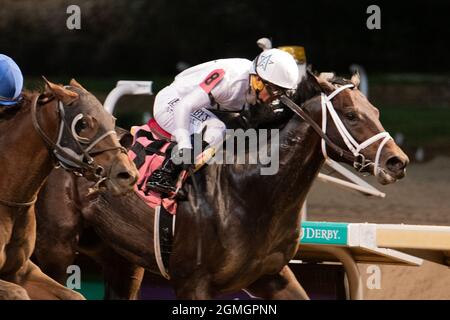 Louisville, Kentucky, Stati Uniti. 18 settembre 2021. 18 settembre 2021: Generale principale #8, cavalcato dal jockey Javier Castellano vince gli Iroquois Stakes (grado 3) per i maschi di due anni a Churchill Downs a Louisville, K.Y. il 18 settembre 2021. Jessica MorganEclipse SportswireCSM/Alamy Live News Foto Stock