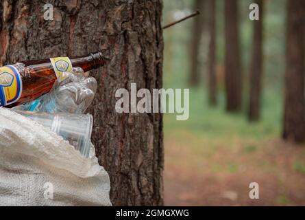 13 luglio 2020 Tomsk, Russia: Spazzatura in un parco Foto Stock