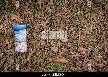 13 luglio 2020 Tomsk, Russia: Spazzatura in un parco Foto Stock