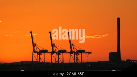 Silhouette al tramonto. Le gru si stagliano al Porto di Melbourne mentre il sole tramonta. Foto Stock