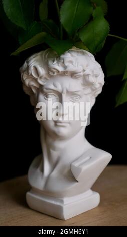Elegante statua moderna busto di scultura David per fiori su sfondo nero isolato da vicino Foto Stock