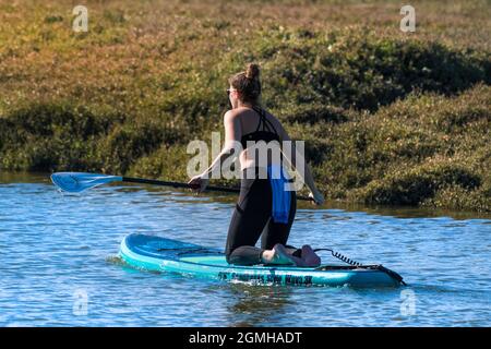 Una donna in vacanza inginocchiata su una tavola Stand Up in stile Sandbanks sul fiume Gannel a Newquay in Cornovaglia. Foto Stock