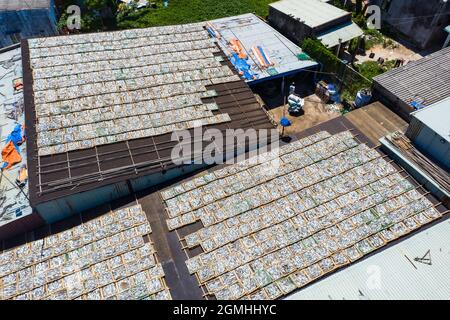 Essiccazione del pesce nella provincia di Ba Ria Vung Tau, Vietnam meridionale Foto Stock