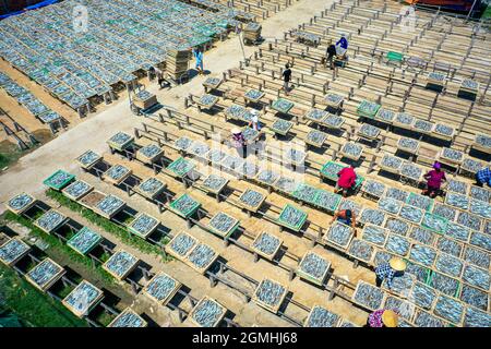 Essiccazione del pesce nella provincia di Ba Ria Vung Tau, Vietnam meridionale Foto Stock