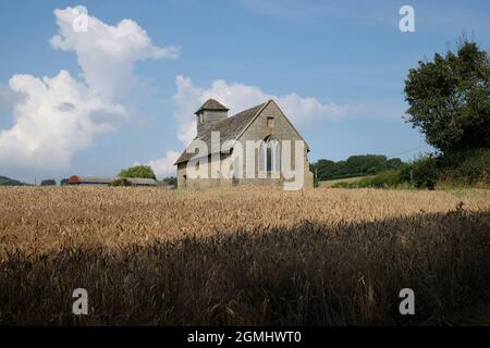 Langley Chapel, Acton Burnell, Shropshire, Inghilterra, Regno Unito. L'antica chiesa è situata in un terreno agricolo in un campo di mais Foto Stock