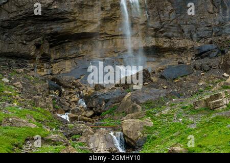 Gämsen beim Wasserfall im Bondertal, Adelboden. Scalata di camosci sotto la cascata nella valle del Bonder. Prati alpini su pendii ripidi sotto l'alta scogliera Foto Stock