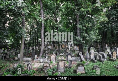 Vista dall'alto delle lapidi del nuovo cimitero ebraico di Cracovia, in Polonia Foto Stock