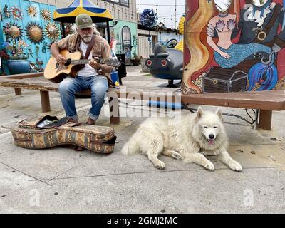 FRESNO, STATI UNITI D'AMERICA - 27 agosto 2021: Una chitarra maschile con soldi e cane su sfondo grigio muro a Fresno, Stati Uniti Foto Stock