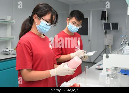 (210919) -- PECHINO, 19 settembre 2021 (Xinhua) -- Bai Jie (L) e Zhou Zhan, studenti universitari della China Agricultural University, conducono un esperimento di misurazione del contenuto di vitamina C in pesca in un laboratorio in futuro frutteto nel villaggio di Xiing di Yukou Township nel distretto di Pinggu di Pechino, capitale della Cina, 14 settembre 2021. "Future Orchard" è un frutteto ad alta tecnologia fondato dal governo locale con la China Agricultural University e altre imprese. Il frutteto ha un laboratorio e quattro ettari di terreno con peschi e kiwi. Con l'aiuto di un sistema di monitoraggio intelligente per l'analisi dei dati, responsabili accurati Foto Stock