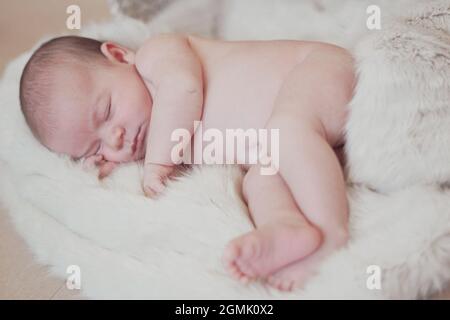 Ripresa del neonato in studio estetico - carino il bambino che dorme pacefoly in una pelliccia fuori del cestino in uno sfondo beige Foto Stock