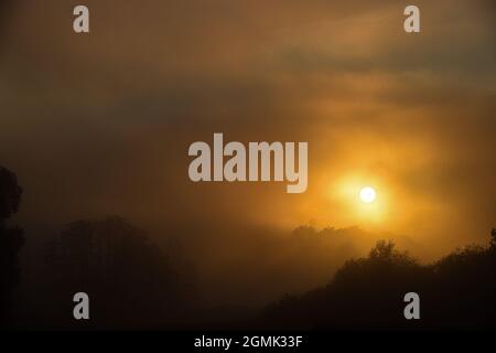 Sonnenaufgang im nebel am Mindelsee bei Radolfzell am Bodensee Foto Stock