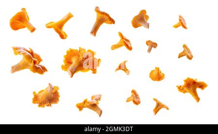 Set di varie chanterelle di forma isolate da accorciamento diverso Foto Stock