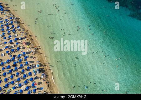 Fotografia aerea del drone di spiaggia di baia di alberi di fichi. Vacanze estive cipro. Foto Stock