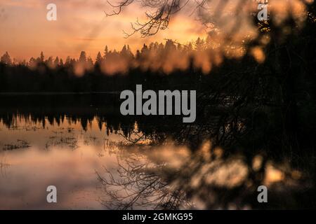 Tramonto sul lago Itasca, acque principali del fiume Mississippi, Minnesota settentrionale, USA Foto Stock