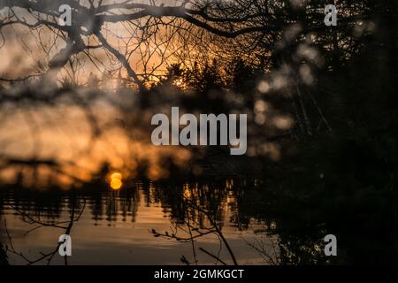 Tramonto sul lago Itasca, acque principali del fiume Mississippi, Minnesota settentrionale, USA Foto Stock