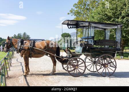 Passeggiate in carrozza a cavallo alla casa di Muckross 19 ° secolo, il Parco Nazionale, Killarney (Cill Airne), County Kerry, Repubblica d'Irlanda Foto Stock