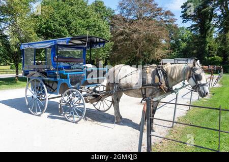 Passeggiate in carrozza a cavallo alla casa di Muckross 19 ° secolo, il Parco Nazionale, Killarney (Cill Airne), County Kerry, Repubblica d'Irlanda Foto Stock