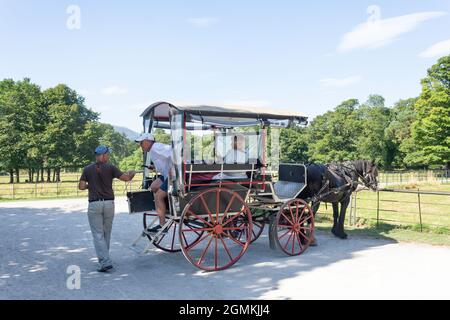 Passeggiate in carrozza a cavallo alla casa di Muckross 19 ° secolo, il Parco Nazionale, Killarney (Cill Airne), County Kerry, Repubblica d'Irlanda Foto Stock